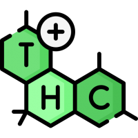 Magas THC-Szintű Marihuána Fajták