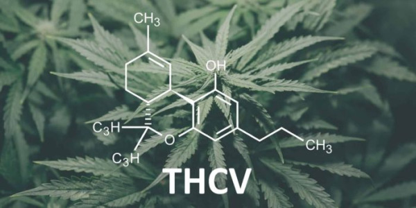 Mi az a THCV és miben különbözik a THC-től?